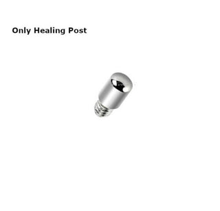 Screw Top Micro Dermal Post Healing Stud - 316L Surgical Steel 14G